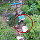 Image for article titled Police Drone Finds Fugitive Living in Cave After 17 Years on the Run